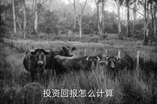 vc pe投資回報(bào)怎么算，投資回報(bào)怎么計(jì)算