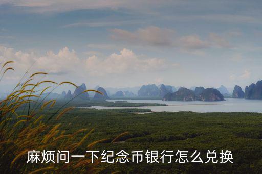 麻煩問(wèn)一下紀(jì)念幣銀行怎么兌換