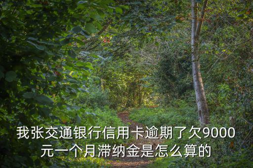 我張交通銀行信用卡逾期了欠9000元一個月滯納金是怎么算的
