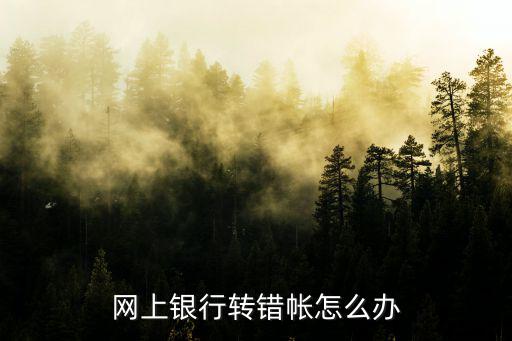 網(wǎng)絡轉(zhuǎn)賬轉(zhuǎn)錯了怎么辦，網(wǎng)上轉(zhuǎn)賬轉(zhuǎn)錯了咋辦啊