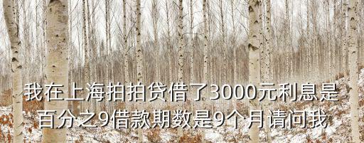 上海拍拍貨怎么還款，上海拍拍貸 我想還款 需要銀行卡往里面充值 但是充值需要驗證碼 我手