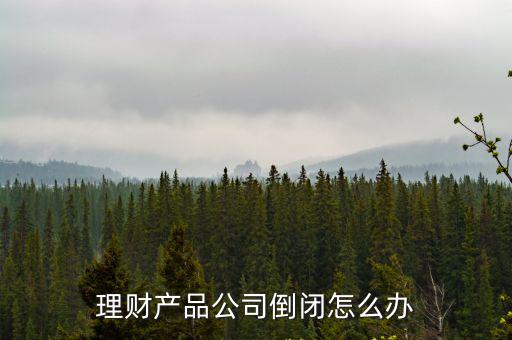 理財(cái)產(chǎn)品公司倒閉怎么辦