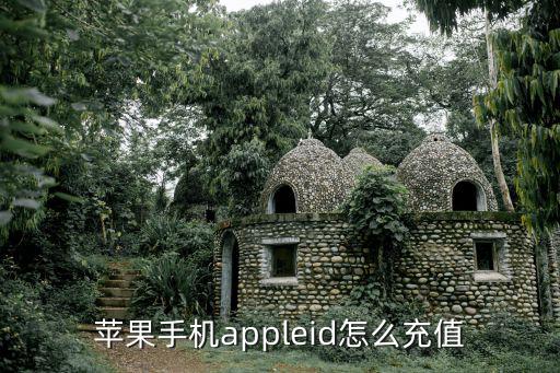 id充值怎么充值，蘋果手機appleid怎么充值