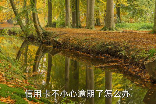 信用卡不小心逾期了怎么辦