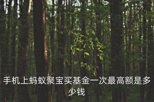 手機買基金怎么收費，手機上螞蟻聚寶買基金一次最高額是多少錢