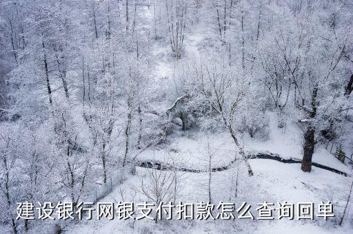 建設(shè)銀行網(wǎng)銀支付扣款怎么查詢回單