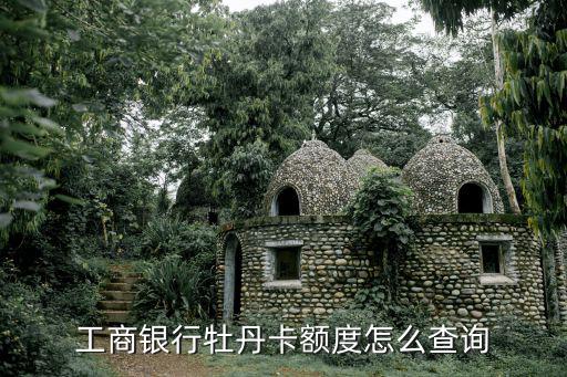 工商銀行牡丹卡額度怎么查詢