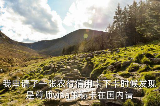 我申請(qǐng)了一張農(nóng)行信用卡下卡時(shí)候發(fā)現(xiàn)是尊師visa單標(biāo)卡在國(guó)內(nèi)請(qǐng)