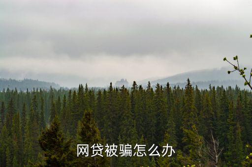 網(wǎng)貸被騙怎么辦