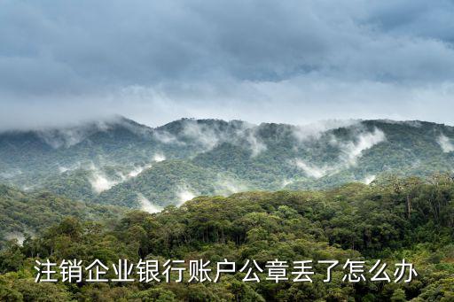 銀行公章掉了怎么辦理，注銷(xiāo)企業(yè)銀行賬戶(hù)公章丟了怎么辦