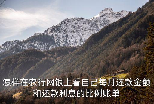 怎樣在農(nóng)行網(wǎng)銀上看自己每月還款金額和還款利息的比例賬單
