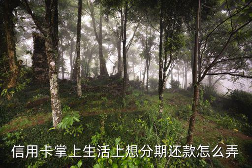 掌上生活怎么分期還款，掌上生活的額度信貸怎么還款的第一次用著急不知道怎么還