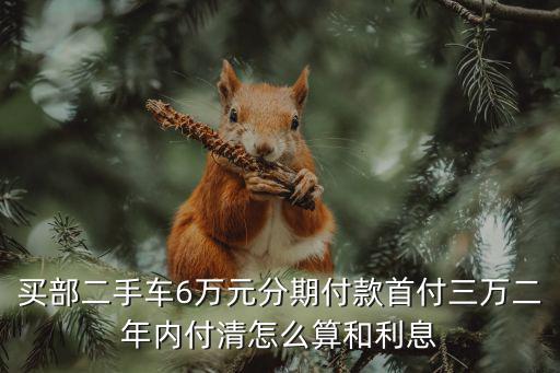 二手車分期車怎么算的，二手車分期一年怎么算月供 貸款額13 12個(gè)月這是什么算法