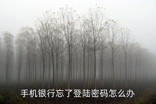 怎么找回手機銀行密碼，手機銀行忘了登陸密碼怎么辦