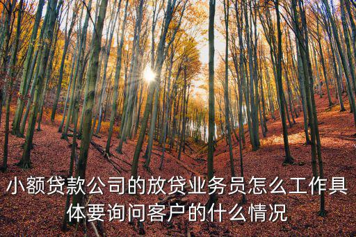 小額放貸公司怎么放貸，如何在小額貸款公司貸款