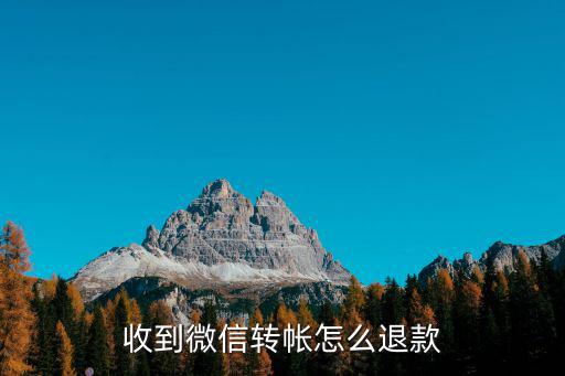 收到微信轉(zhuǎn)帳怎么退款