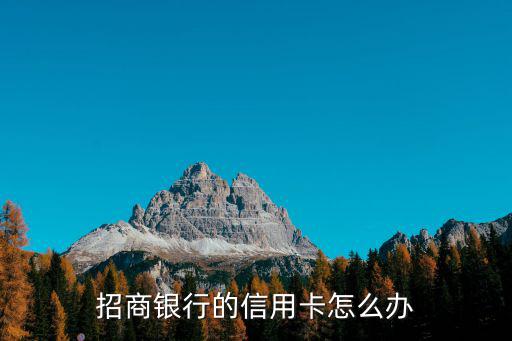 招商銀行的信用卡怎么辦