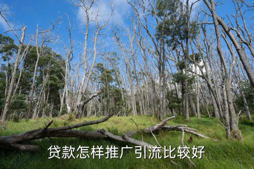 貸款怎樣推廣引流比較好