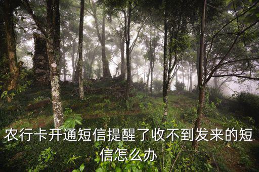 農(nóng)行卡開通短信提醒了收不到發(fā)來的短信怎么辦