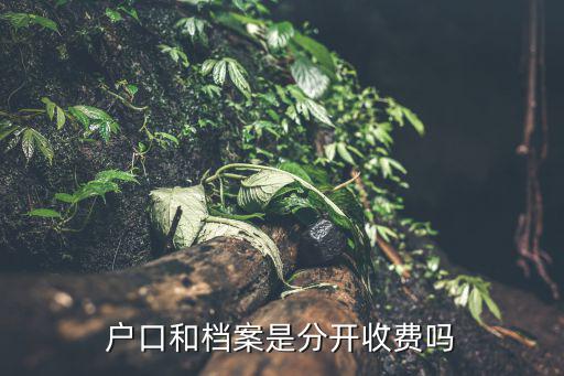 戶口和檔案是分開收費(fèi)嗎