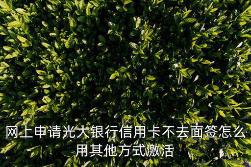 網(wǎng)上申請光大銀行信用卡不去面簽怎么用其他方式激活