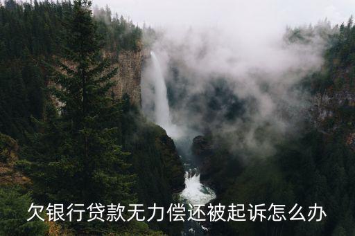 欠銀行貸款無(wú)力償還被起訴怎么辦