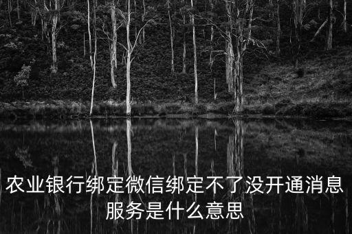 微信農(nóng)行沒信息怎么辦，農(nóng)業(yè)銀行綁定微信綁定不了沒開通消息服務(wù)是什么意思