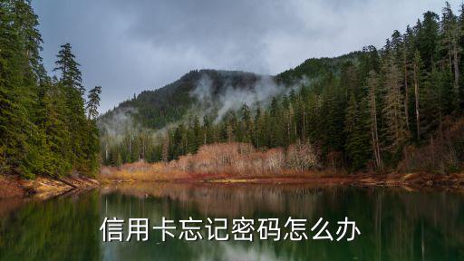 信用卡信息和密碼忘了怎么辦，信用卡密碼忘了怎么辦