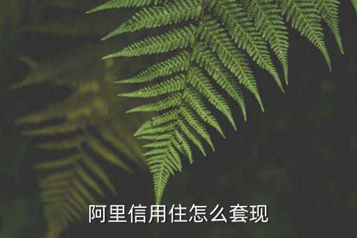 信用貸款怎么套現(xiàn)，工行個(gè)人信用貸款能提現(xiàn)嗎