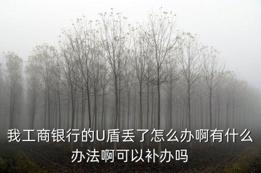我工商銀行的U盾丟了怎么辦啊有什么辦法啊可以補(bǔ)辦嗎