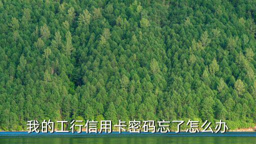 我的工行信用卡密碼忘了怎么辦