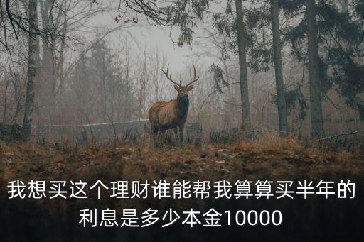 我想買這個(gè)理財(cái)誰(shuí)能幫我算算買半年的利息是多少本金10000