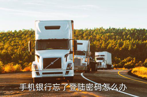 手機(jī)銀行忘了登陸密碼怎么辦