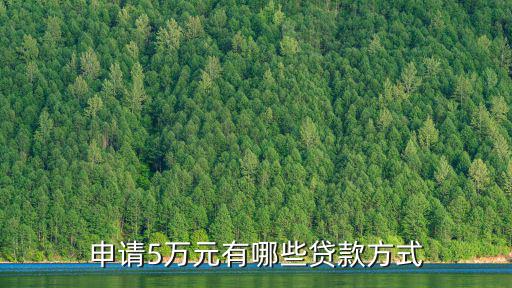 申請(qǐng)5萬(wàn)元有哪些貸款方式