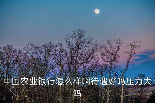 中國(guó)農(nóng)業(yè)銀行怎么樣啊待遇好嗎壓力大嗎