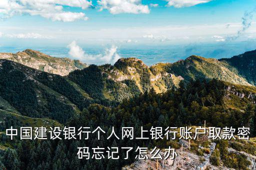 中國(guó)建設(shè)銀行個(gè)人網(wǎng)上銀行賬戶取款密碼忘記了怎么辦