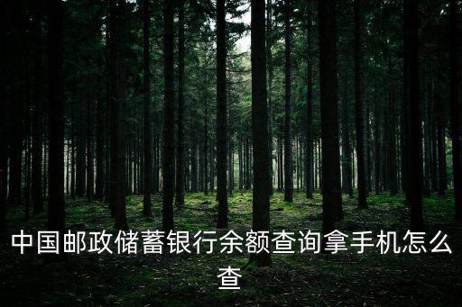 郵政儲(chǔ)蓄銀行手機(jī)查詢余額怎么查詢，郵政銀行手機(jī)怎么查余額