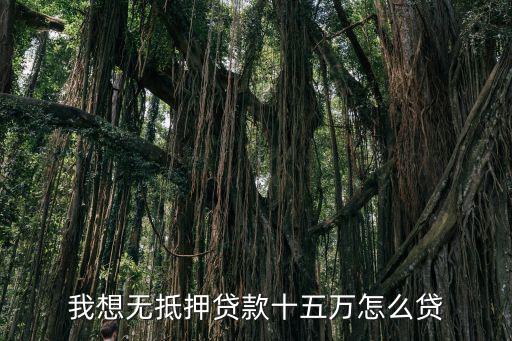 我想貸15萬怎么貸款，我想貸款15萬哪位朋友知道哪里可以貸到嗎利息在8厘到1分半左右