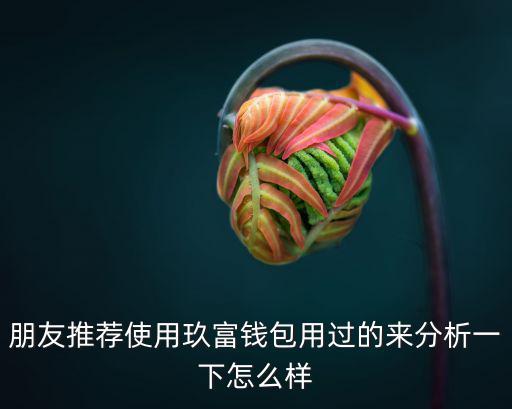 朋友推薦使用玖富錢包用過的來分析一下怎么樣