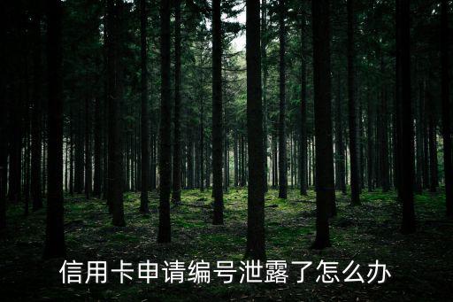 信用卡卡號泄密怎么辦，信用卡申請編號泄露了怎么辦