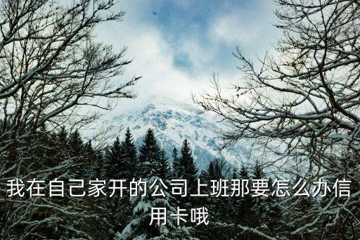 現(xiàn)在辦公司怎么辦理信用卡，我在自己家開的公司上班那要怎么辦信用卡哦