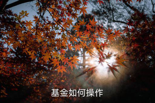 基金如何操作