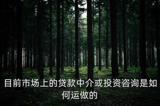 目前市場上的貸款中介或投資咨詢是如何運(yùn)做的