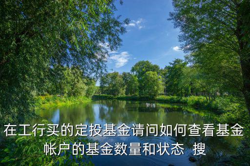 在工行買的定投基金請問如何查看基金帳戶的基金數(shù)量和狀態(tài)  搜