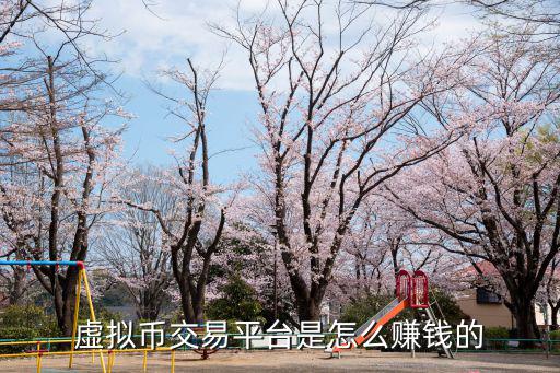 虛擬幣交易平臺(tái)是怎么賺錢的