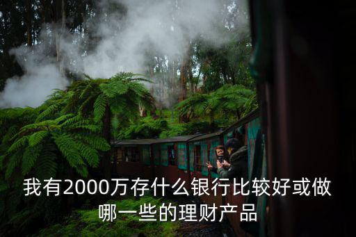 我有2000萬存什么銀行比較好或做哪一些的理財(cái)產(chǎn)品