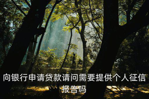 向銀行申請貸款請問需要提供個人征信報告嗎