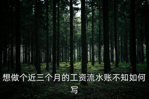想做個(gè)近三個(gè)月的工資流水賬不知如何寫