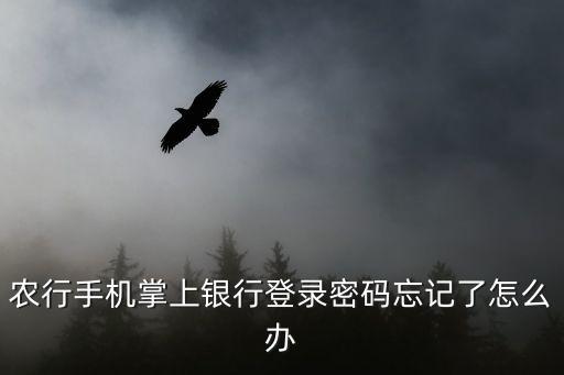 農(nóng)行手機(jī)掌上銀行登錄密碼忘記了怎么辦