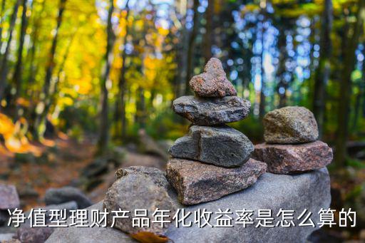凈值型理財產(chǎn)品年化收益率是怎么算的